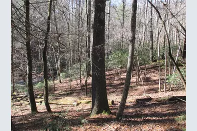 Lot58 Doe Run, Ellijay, GA 30540 - Photo 15