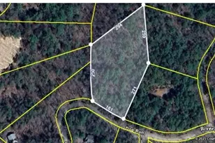 Lot58 Doe Run, Ellijay, GA 30540 - Photo 1