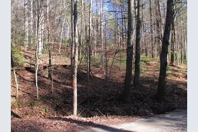 Lot58 Doe Run, Ellijay, GA 30540 - Photo 5