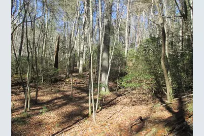 Lot58 Doe Run, Ellijay, GA 30540 - Photo 17