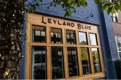 140 Rolison Way, Fayetteville, GA 30214 - Photo 45