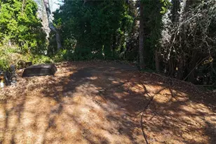 117 Turner Rd, Dahlonega, GA 30533 - Photo 3