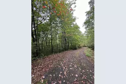 6 Sequoia Hills Lane, Clayton, GA 30525 - Photo 11