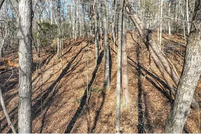 9384 Skitts Mountain, Lula, GA 30554 - Photo 11