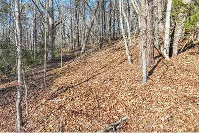 9384 Skitts Mountain, Lula, GA 30554 - Photo 3