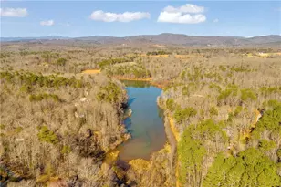 601 Beaver Lake Drive, Clarkesville, GA 30523 - Photo 35