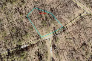 236 Pinnacle Dr Lot 236, Ellijay, GA 30540 - Photo 1