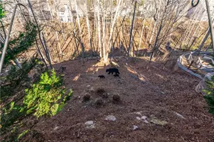 2017 Eagles Ridge, Waleska, GA 30183 - Photo 47