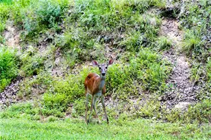 117 Fort Gibson Ct, Waleska, GA 30183 - Photo 21