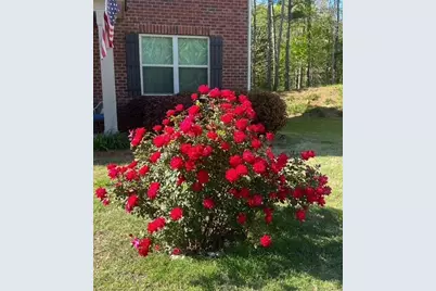 1526 Woodvale Street, Hampton, GA 30228 - Photo 3