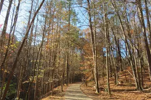 26 Mountain View Ct, Waleska, GA 30183 - Photo 29