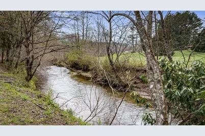 390 Sunny Brook Road, Blue Ridge, GA 30513 - Photo 61