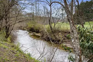 390 Sunny Brook Rd, Blue Ridge, GA 30513 - Photo 61