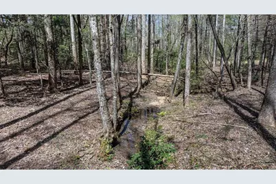 390 Sunny Brook Road, Blue Ridge, GA 30513 - Photo 55