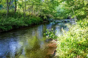 390 Sunny Brook Rd, Blue Ridge, GA 30513 - Photo 49