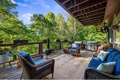 390 Sunny Brook Road, Blue Ridge, GA 30513 - Photo 37