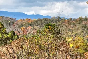 100 Arrow Way, Mineral Bluff, GA 30559 - Photo 23