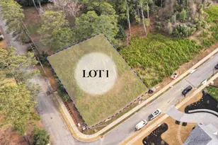 462 Emily Reed Ln, Atlanta, GA 30342 - Photo 1