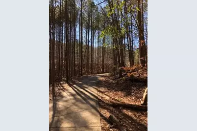 153 Fort Gibson Court, Waleska, GA 30183 - Photo 33