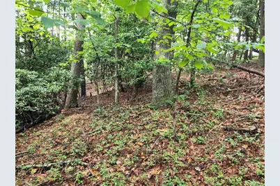 0 Rosen Strasse, Helen, GA 30545 - Photo 11