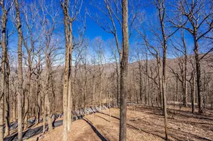 1006 Chestnut Cove Trail, Jasper, GA 30143 - Photo 29