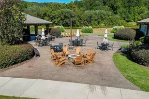 533 Birch River Dr, Dahlonega, GA 30533 - Photo 63