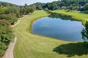 533 Birch River Dr, Dahlonega, GA 30533 - Photo 65