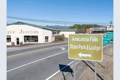 206 Deerberry Drive, Jasper, GA 30143 - Photo 57