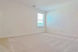 117 Goshawk Street Braselton Ga 30517, Braselton, GA 30517 - Photo 21