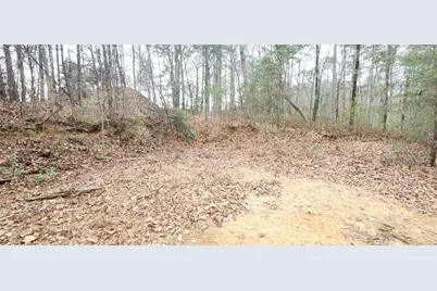 361 Vista Dell Lane, Tallulah Falls, GA 30573 - Photo 7