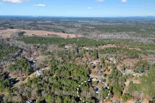 207 John Walraven Rd, Dallas, GA 30132 - Photo 53