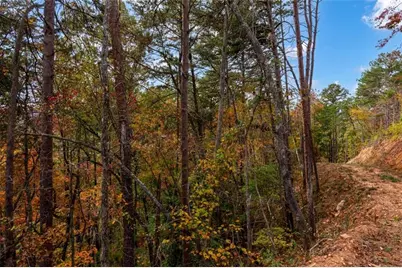 Lt 269 Canoe Way, Talking Rock, GA 30175 - Photo 15