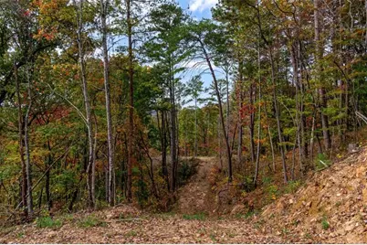 Lt 269 Canoe Way, Talking Rock, GA 30175 - Photo 19