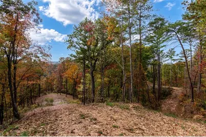 Lt 269 Canoe Way, Talking Rock, GA 30175 - Photo 17