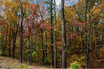 Lt 269 Canoe Way, Talking Rock, GA 30175 - Photo 21