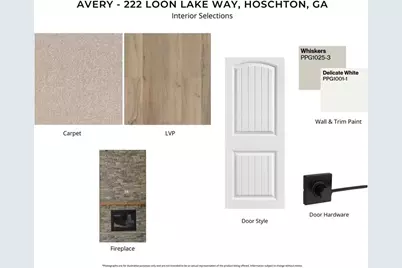 222 Loon Lake Way, Hoschton, GA 30548 - Photo 9