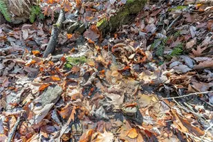 3523 Lighthouse Ln, Gainesville, GA 30504 - Photo 65