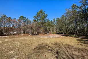 771 Heritage Cir, Hortense, GA 31543 - Photo 13