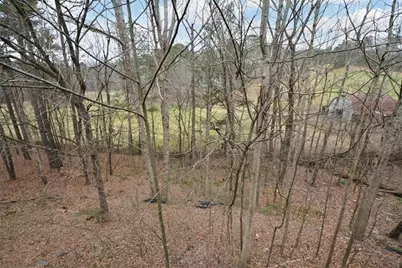 1025 Boxwood Lane, Canton, GA 30114 - Photo 63