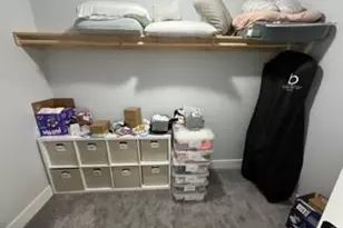 215 Walden Pond Trail, Senoia, GA 30276 - Photo 27