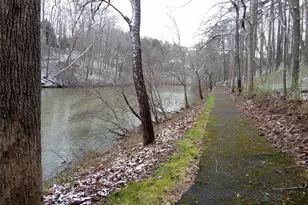 8145A Stone Hill Rd, Cumming, GA 30028 - Photo 3