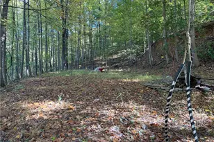 456 Poverty Rd, Murrayville, GA 30564 - Photo 23