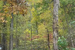 456 Poverty Rd, Murrayville, GA 30564 - Photo 25