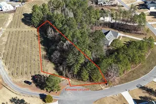 Lot 39 The Flower Farm, Acworth, GA 30101 - Photo 1
