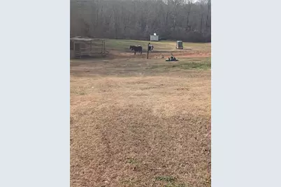 330 Davidson Road, Cleveland, GA 30528 - Photo 17