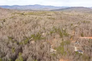 195 Skunk Hollow Rd, Cleveland, GA 30528 - Photo 61