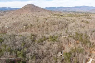 195 Skunk Hollow Rd, Cleveland, GA 30528 - Photo 63