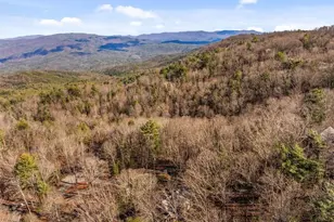 50 Shawnee Trail, Chatsworth, GA 30705 - Photo 51