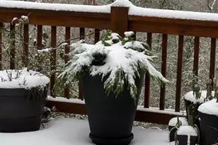 339 Birdseye View, Blue Ridge, GA 30513 - Photo 67