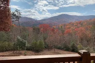 339 Birdseye View, Blue Ridge, GA 30513 - Photo 63